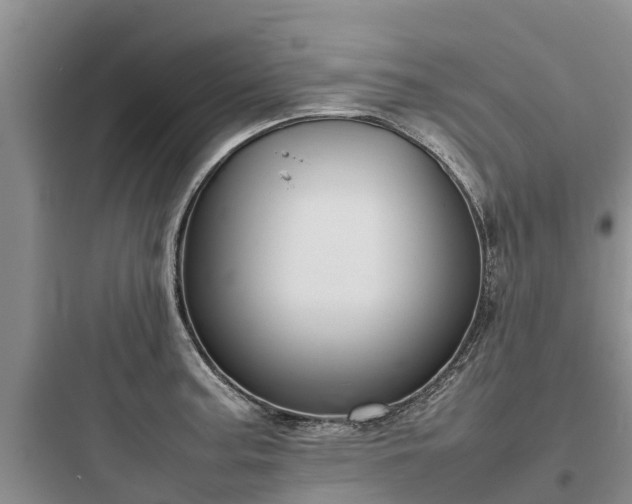 X0000097921187200803211521