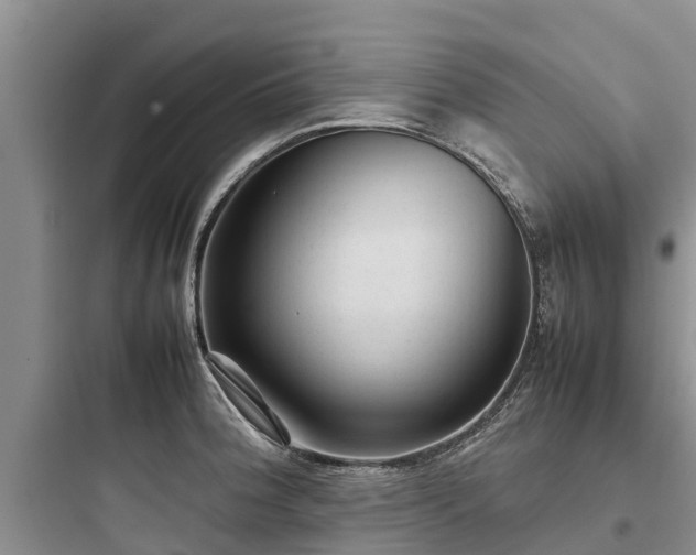 X0000097921188200803211520