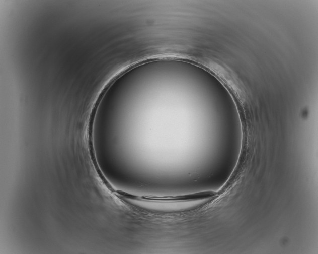 X0000097921189200803211520