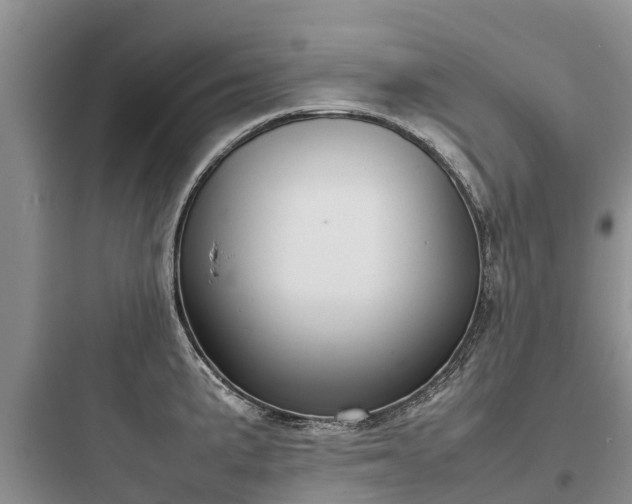 X0000097921191200803211520