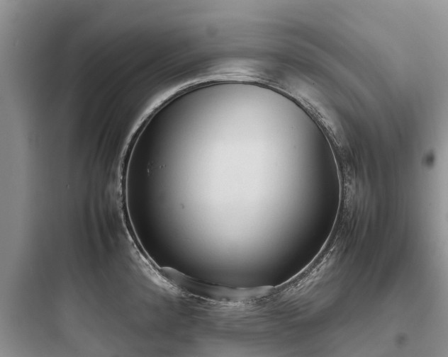 X0000097921192200803211520