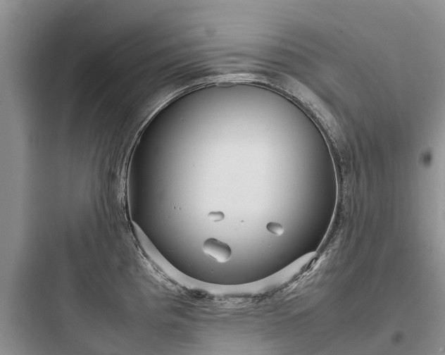 X0000097921193200803211520