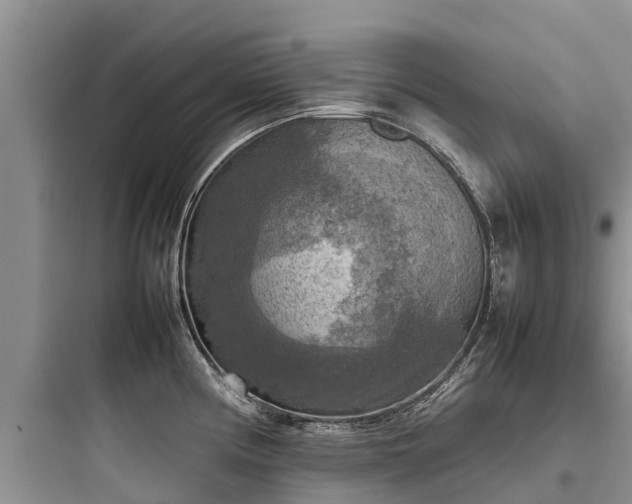 X0000097921194200803211520