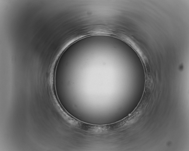 X0000097921195200803211520