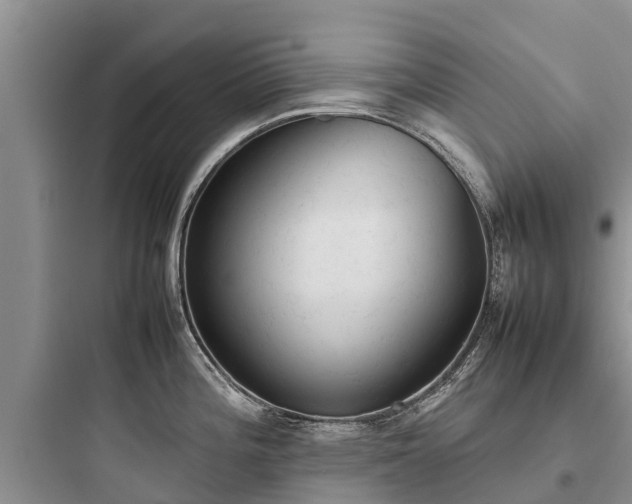 X0000097921196200803211520