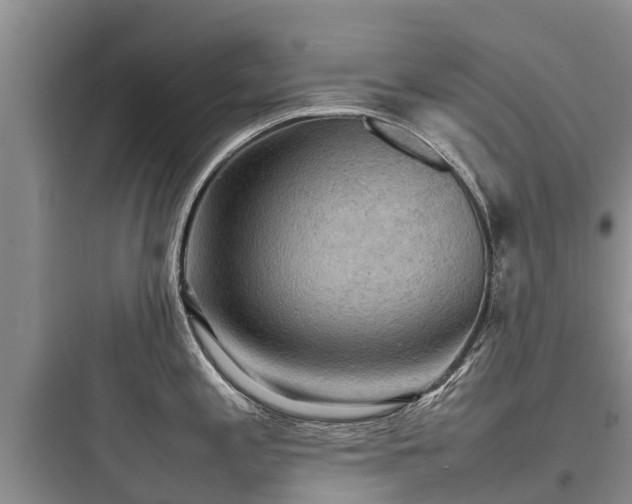 X0000097921197200803211520