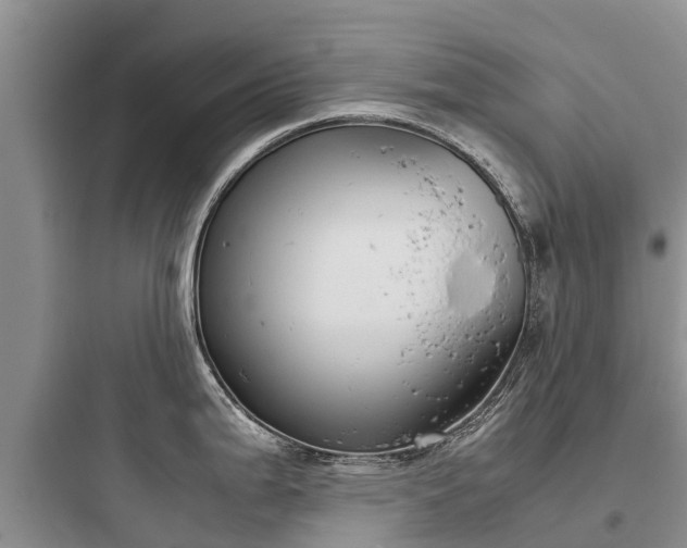 X0000097921199200803211520