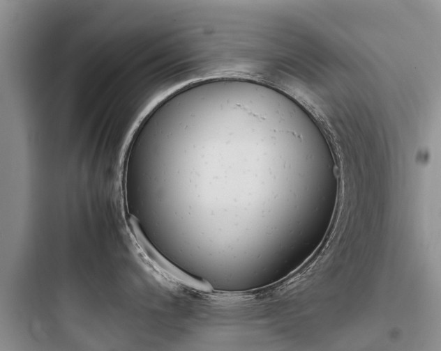 X0000097921200200803211520