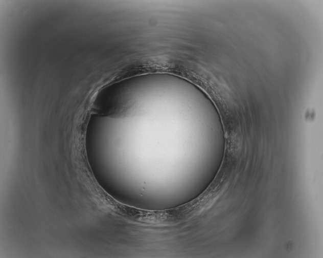 X0000097921201200803211520