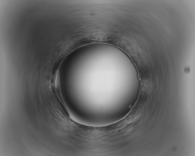 X0000097921202200803211520