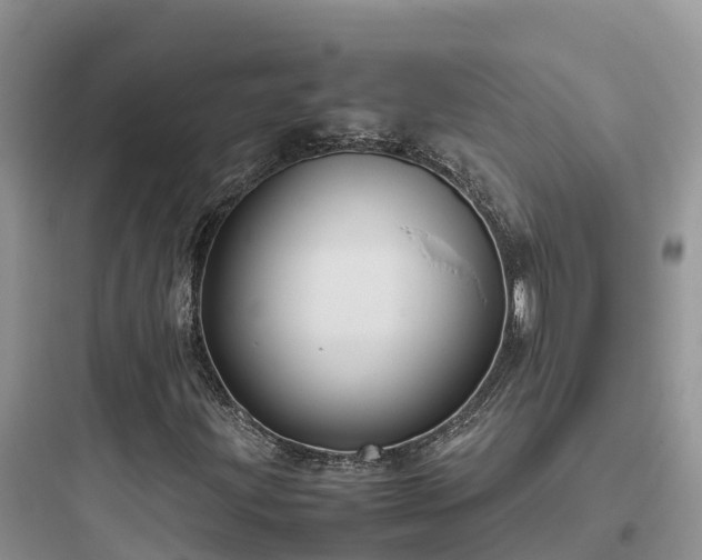 X0000097921203200803211520