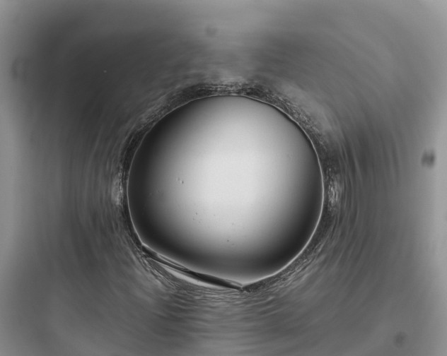 X0000097921204200803211520