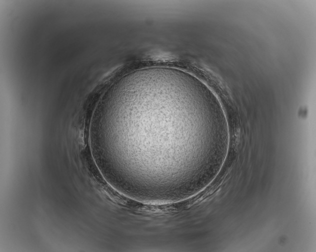 X0000097921205200803211520