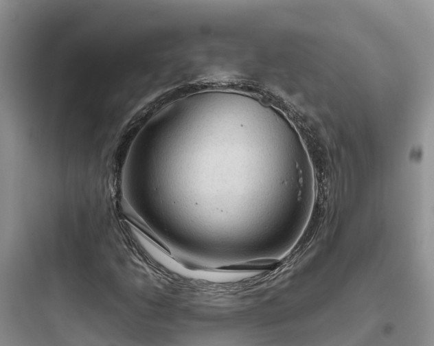 X0000097921206200803211520