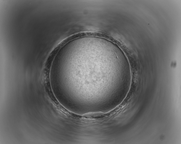 X0000097921208200803211520