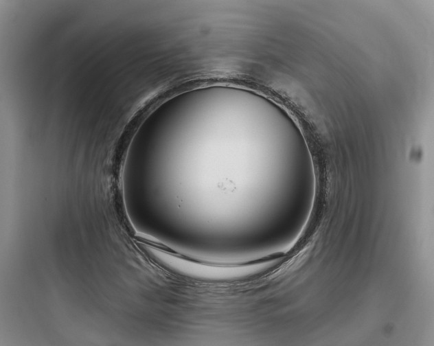 X0000097921210200803211520