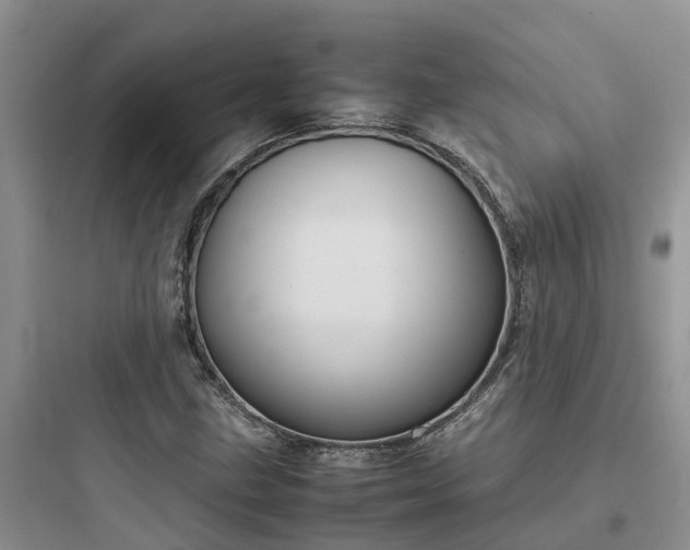 X0000097921211200803211520