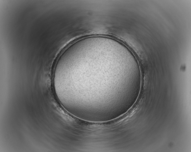 X0000097921212200803211520