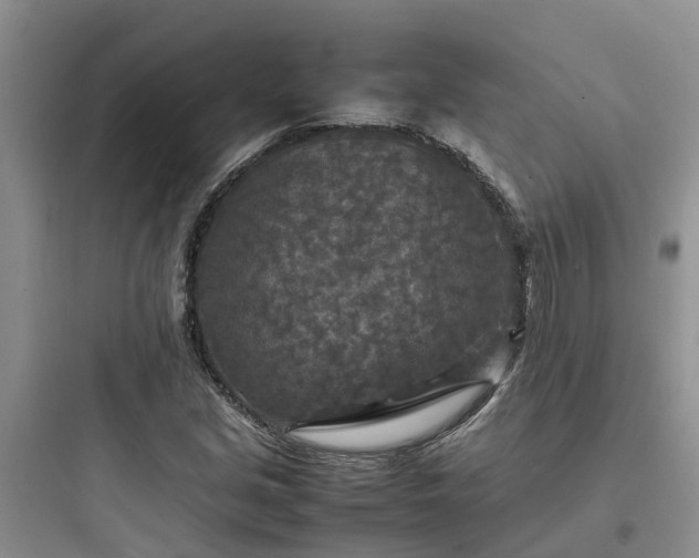 X0000097921213200803211520