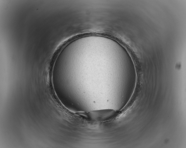 X0000097921214200803211520
