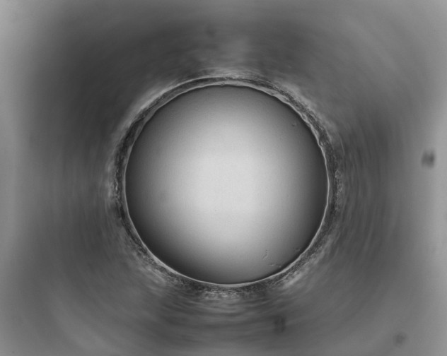 X0000097921215200803211520