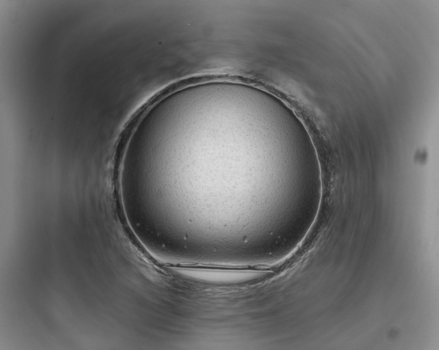 X0000097921216200803211520