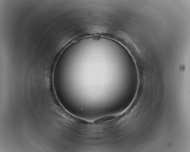 X0000097921217200803211520