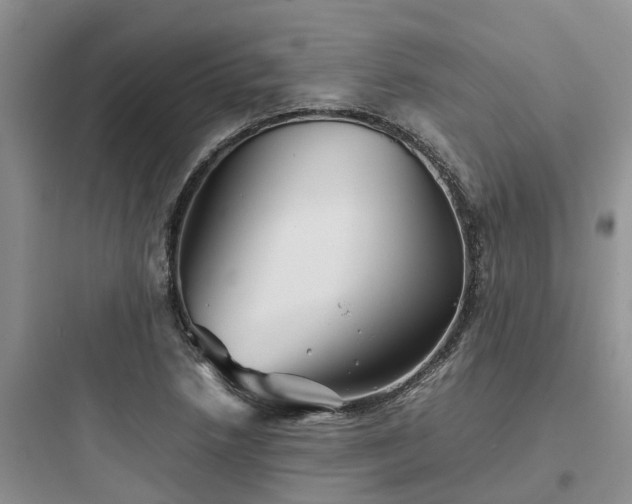 X0000097921218200803211520