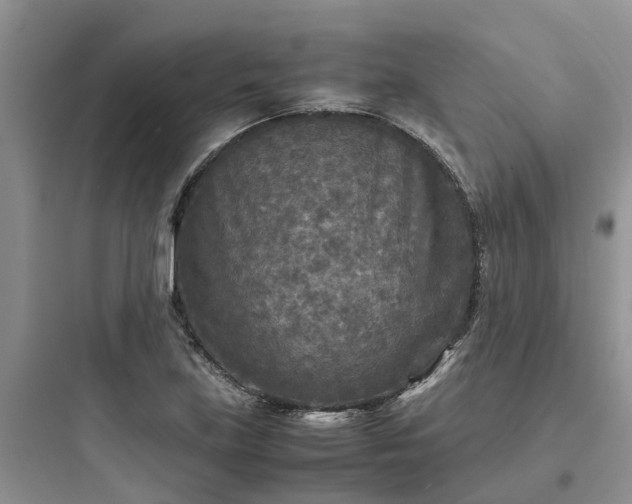 X0000097921219200803211520
