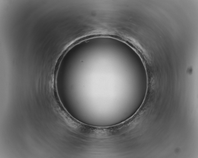 X0000097921220200803211520