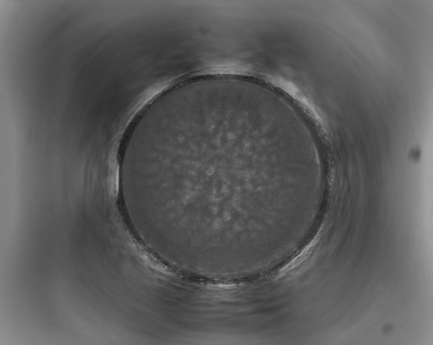X0000097921221200803211520