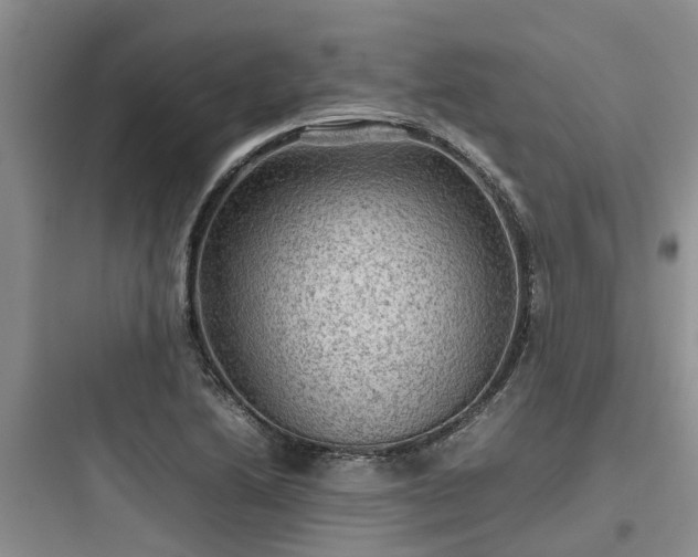 X0000097921222200803211520
