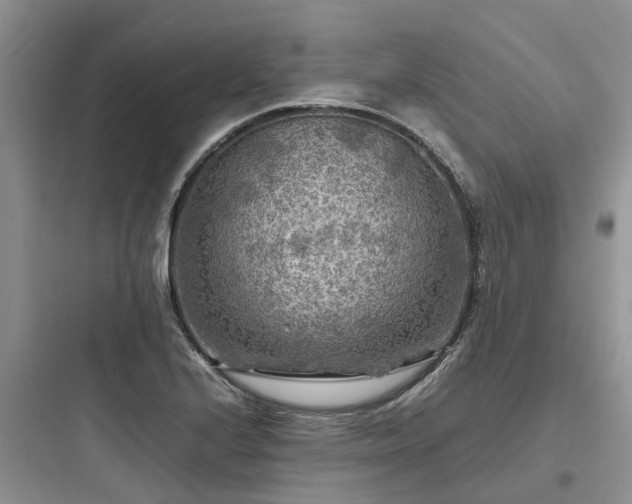 X0000097921224200803211520