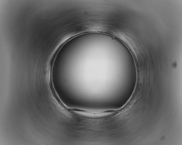X0000097921227200803211520