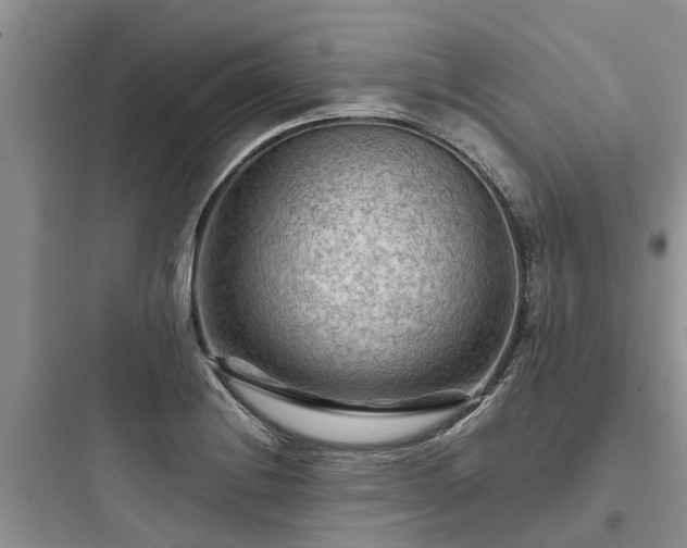 X0000097921228200803211520