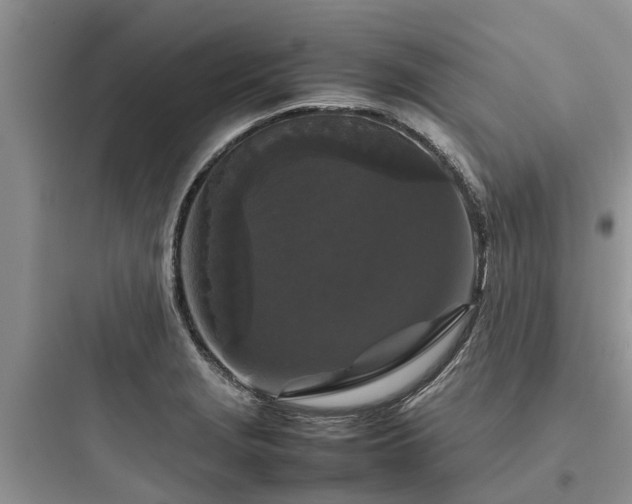 X0000097921229200803211520