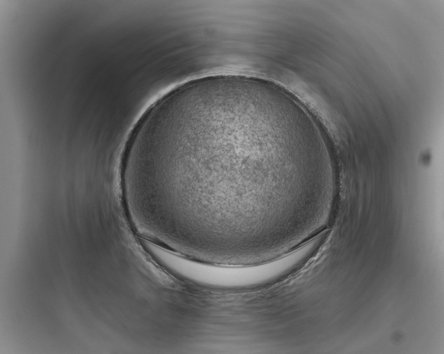 X0000097921230200803211520