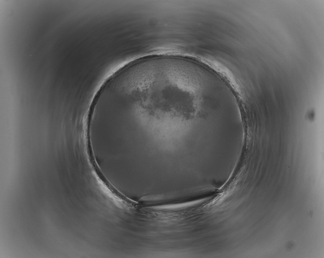 X0000097921231200803211520