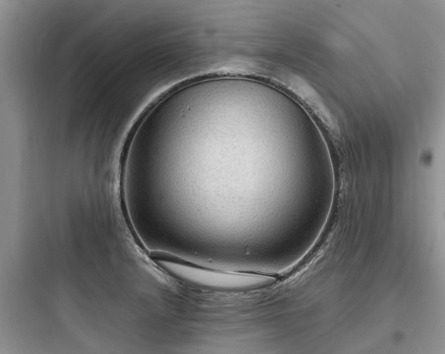 X0000097921232200803211520