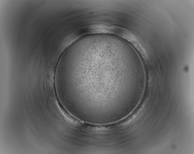 X0000097921233200803211520