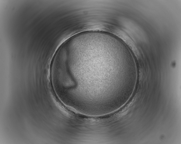 X0000097921234200803211520