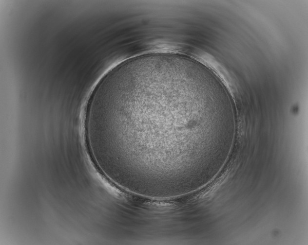 X0000097921235200803211520