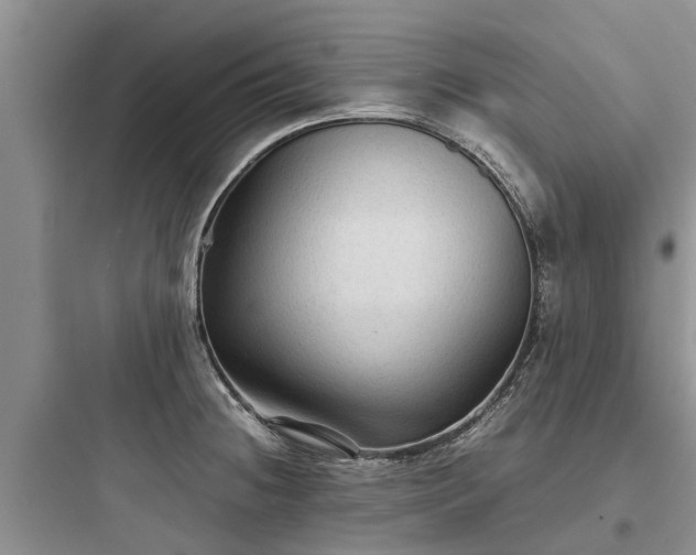 X0000097921236200803211520