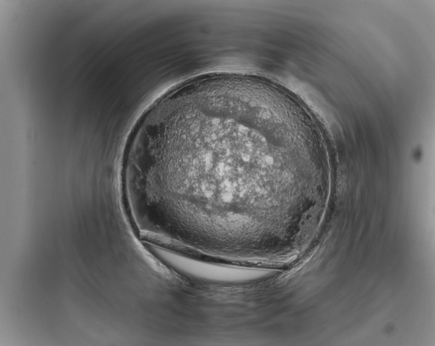 X0000097921237200803211520