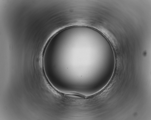 X0000097921238200803211520