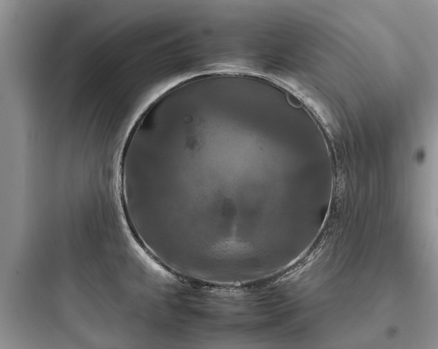 X0000097921239200803211520