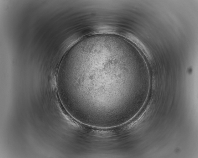X0000097921241200803211520