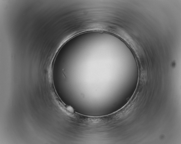 X0000097921242200803211520