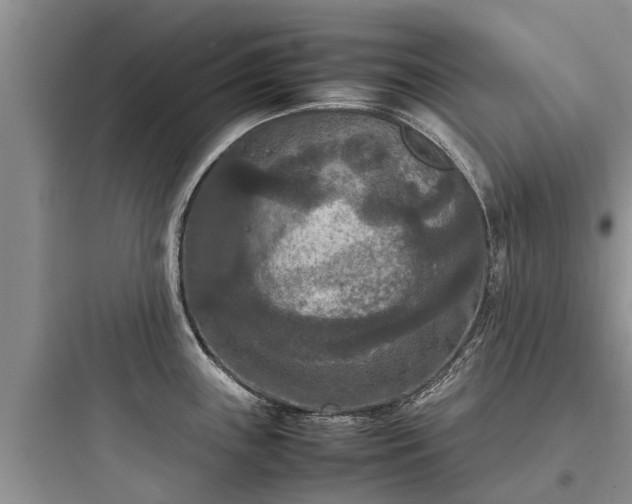 X0000097921243200803211520
