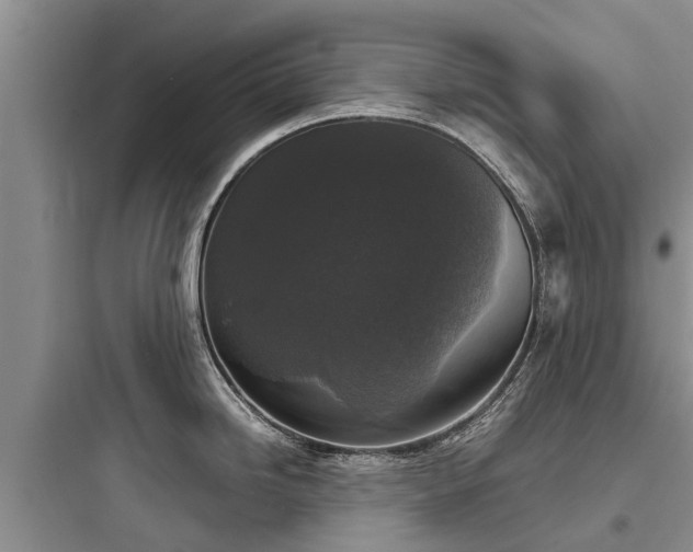 X0000097921246200803211520